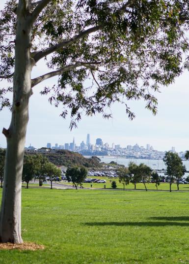 Luxury Travel Guide to Sausalito, California: Discover This Chic & Charming Escape by The Bay